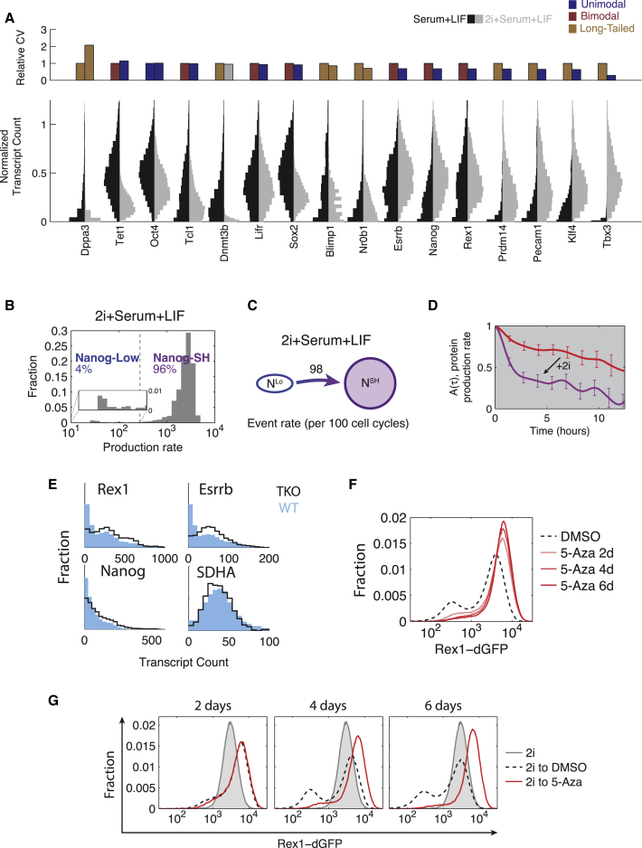 Figure 5