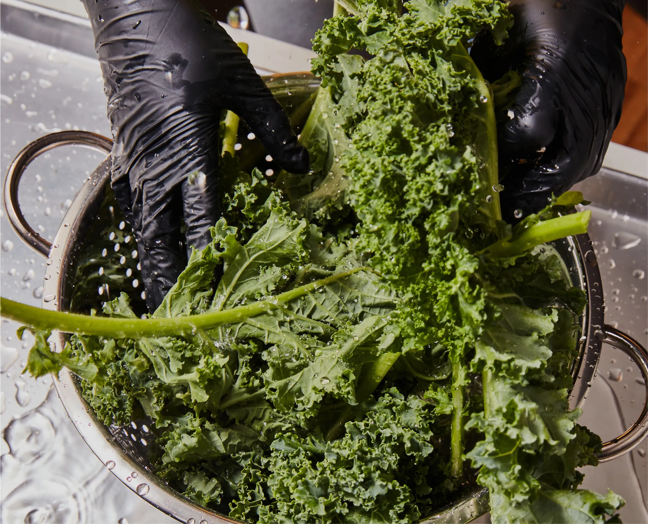 A pair of hands washing lettuce for a salad