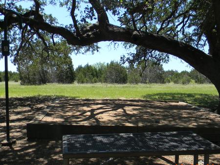 A photo of Site 008 of Loop TEJAS PARK at TEJAS PARK with Picnic Table, Tent Pad, Lantern PoleSite 8
