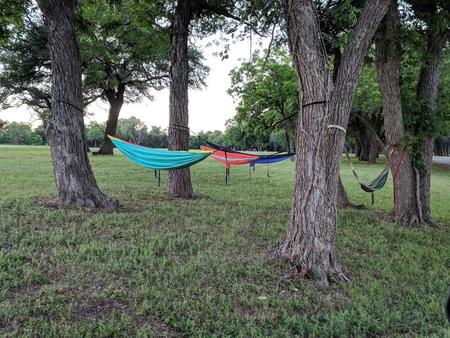 Hammocks at Plowman