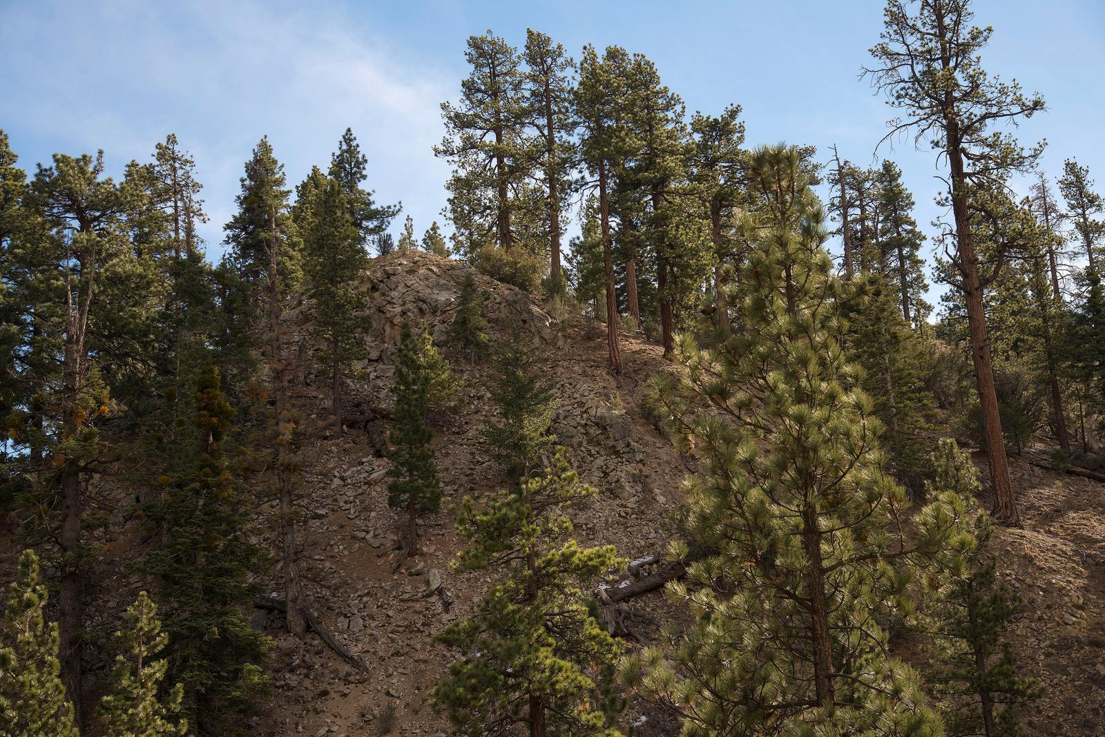 View from Coon Creek Cabin Recreational Area