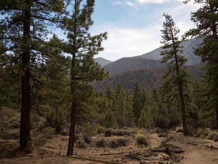 Coon Creek Cabin Recreational Area View