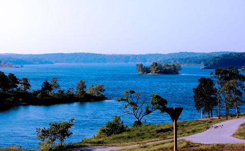 Lake with trees surroundingLake with park