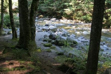 Denny Creek Campground