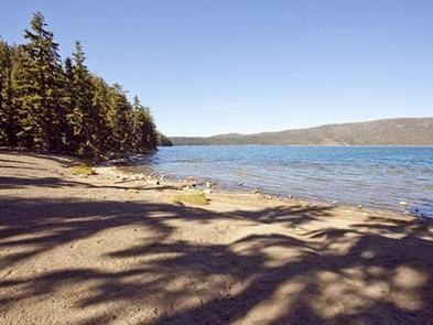 NEWBERRY GROUP CAMP SITE