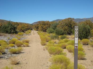 Ribbonwood Equestrian Campground Horse Trail