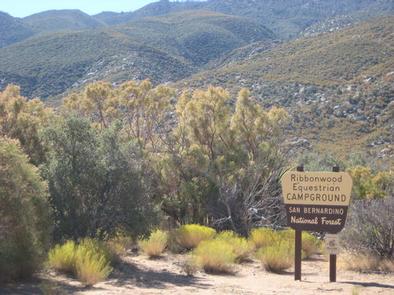 Ribbonwood Equestrian Campground Scenic Background