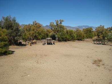 Ribbonwood Equestrian Campground Picnic Tables