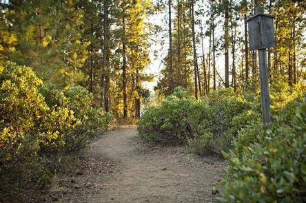 WEST SOUTH TWIN CAMPGROUND