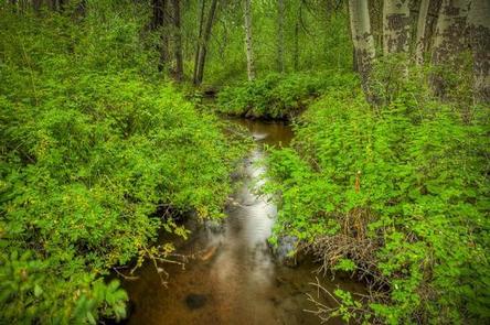 INDIAN FORD CAMPGROUND