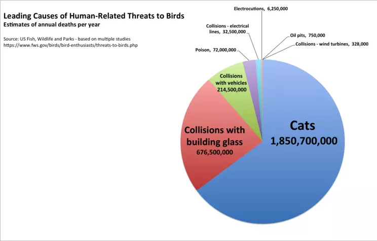 Top threats to birds