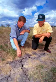 Earth Cracks due to Drought