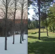 Winter-Summer