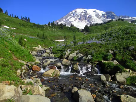 Mt. Ranier National Park