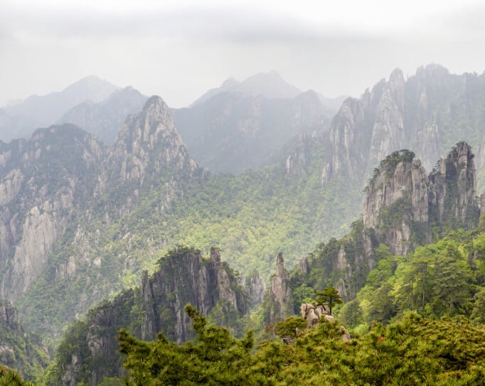 Landscape photo of a mountian side covered in trees.