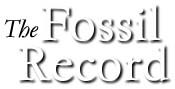 The Fossil Record