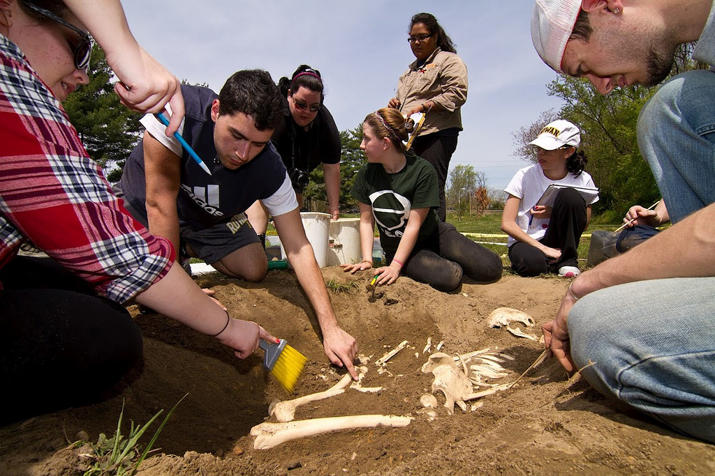 a group of students working in an anthropology lab