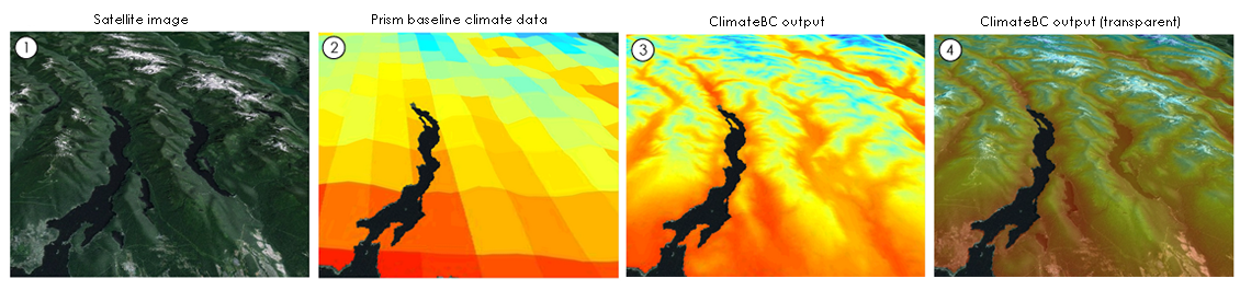 scale-free