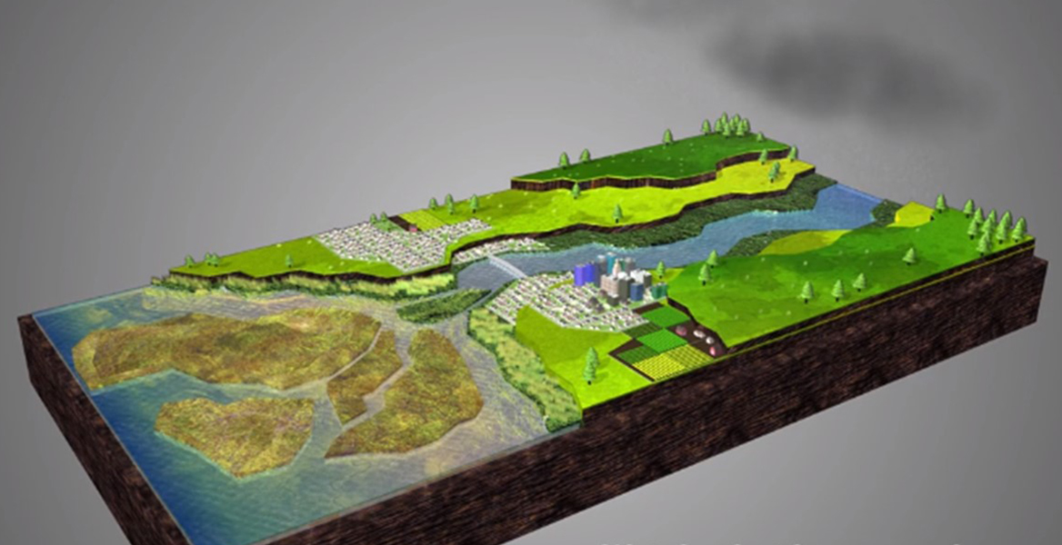 Screenshot of Estuaries: Nature’s Water Filters Video