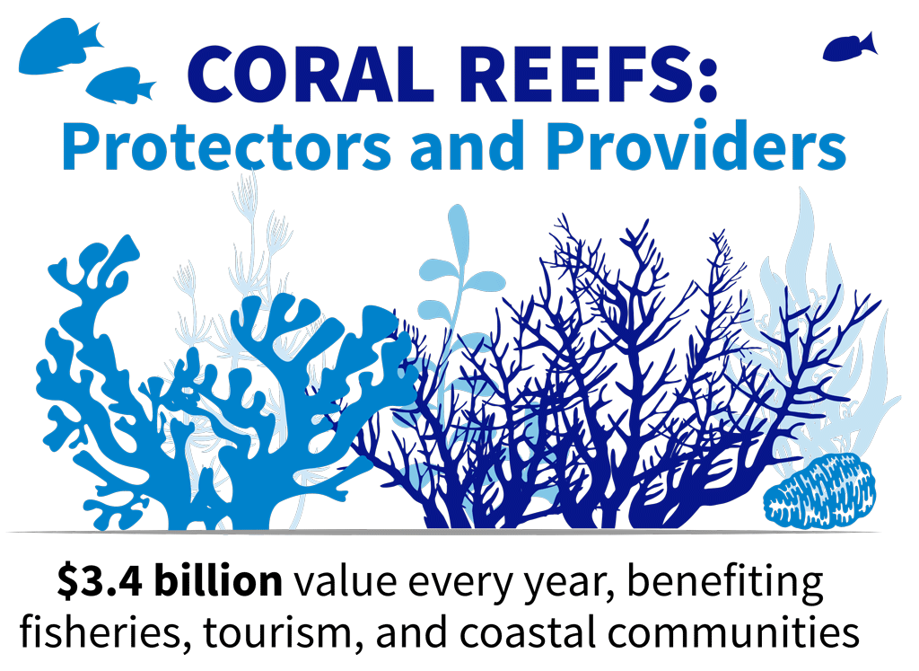 CORAL REEFS: Protectors and Providers $3.4 billion value every year, benefiting fisheries, tourism, and coastal communities