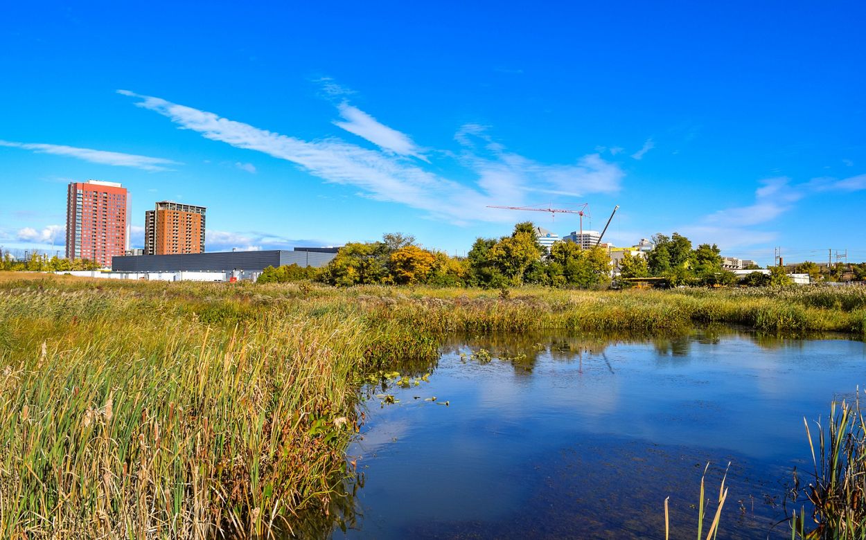 A small body of water appears next to vegetation with two tall buildings in the background.