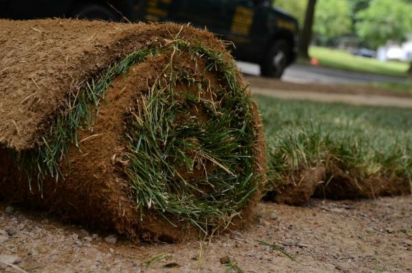 sod ready to install