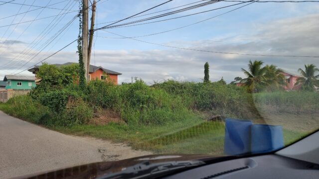 View through a windscreen and across a road into an overgrown wilderness between houses, under power lines.