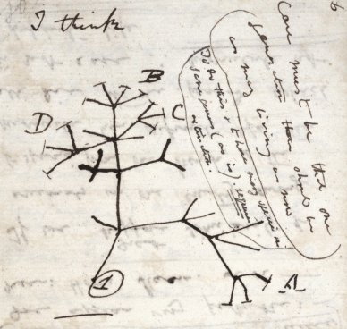 A page from Notebook B (1837)