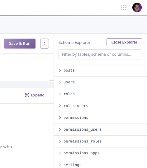 Screenshot of a populated schema exporer