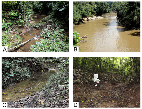 Collecting localities, Tiputini Biodiversity Station, Ecuador.