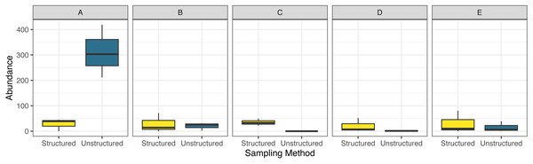 Boxplot comparing observed total abundance of odonates across five focal counties.