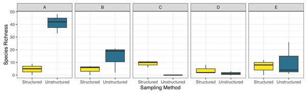 Boxplot comparing observed species richness of odonates across five focal counties in the northeastern United States for structured and unstructured survey methods.