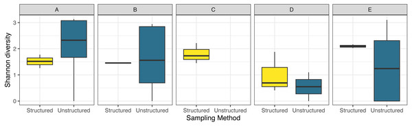 Boxplot comparing observed species diversity of odonates across five focal counties in the northeastern United States for structured and unstructured survey methods.