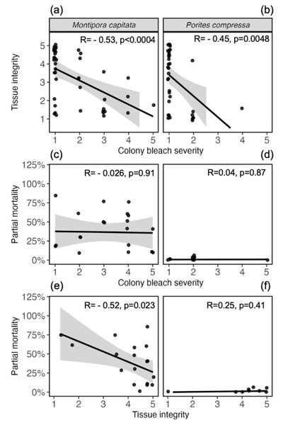 Relationships between bleaching severity, tissue integrity, and survival.