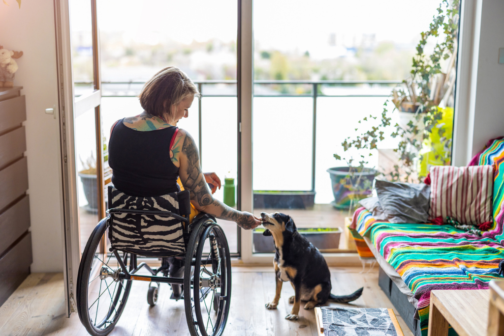 A light filled room with colorful furniture and textiles invites the viewer in. A person with a zebra print wheelchair and multiple tattoos faces away from the camera and towards a wall of floor to ceiling windows. They are not looking out the windows but rather a the dog to whom they are feeding a treat. The dog sits as it reaches for the treat.