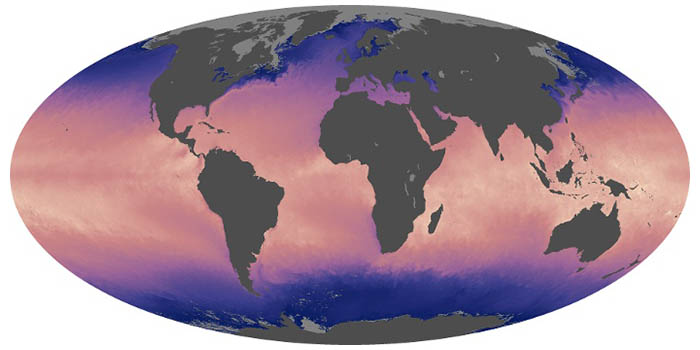 Sea Surface Temperature