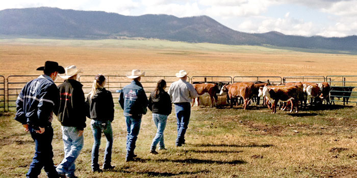 NMSU Extension Animal Science and Natural Resources