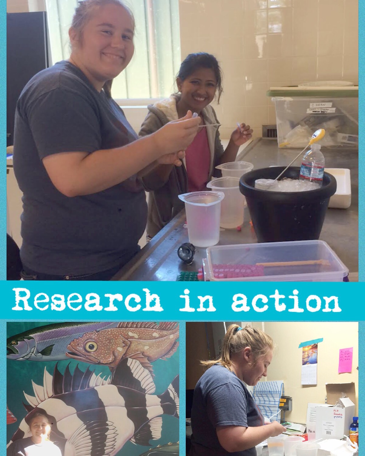 Mackenzie in three pictures performing her research on rockfish