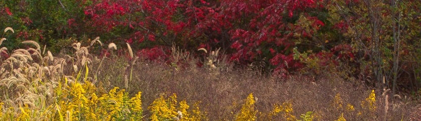 Ohio County Nature Park