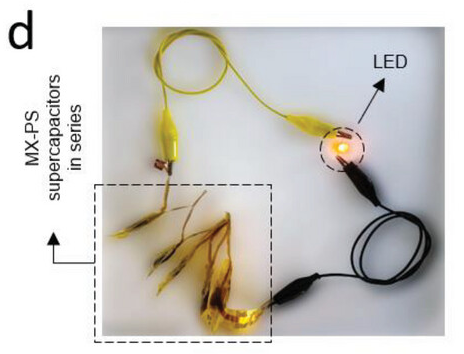 Three sets of wires all connected together