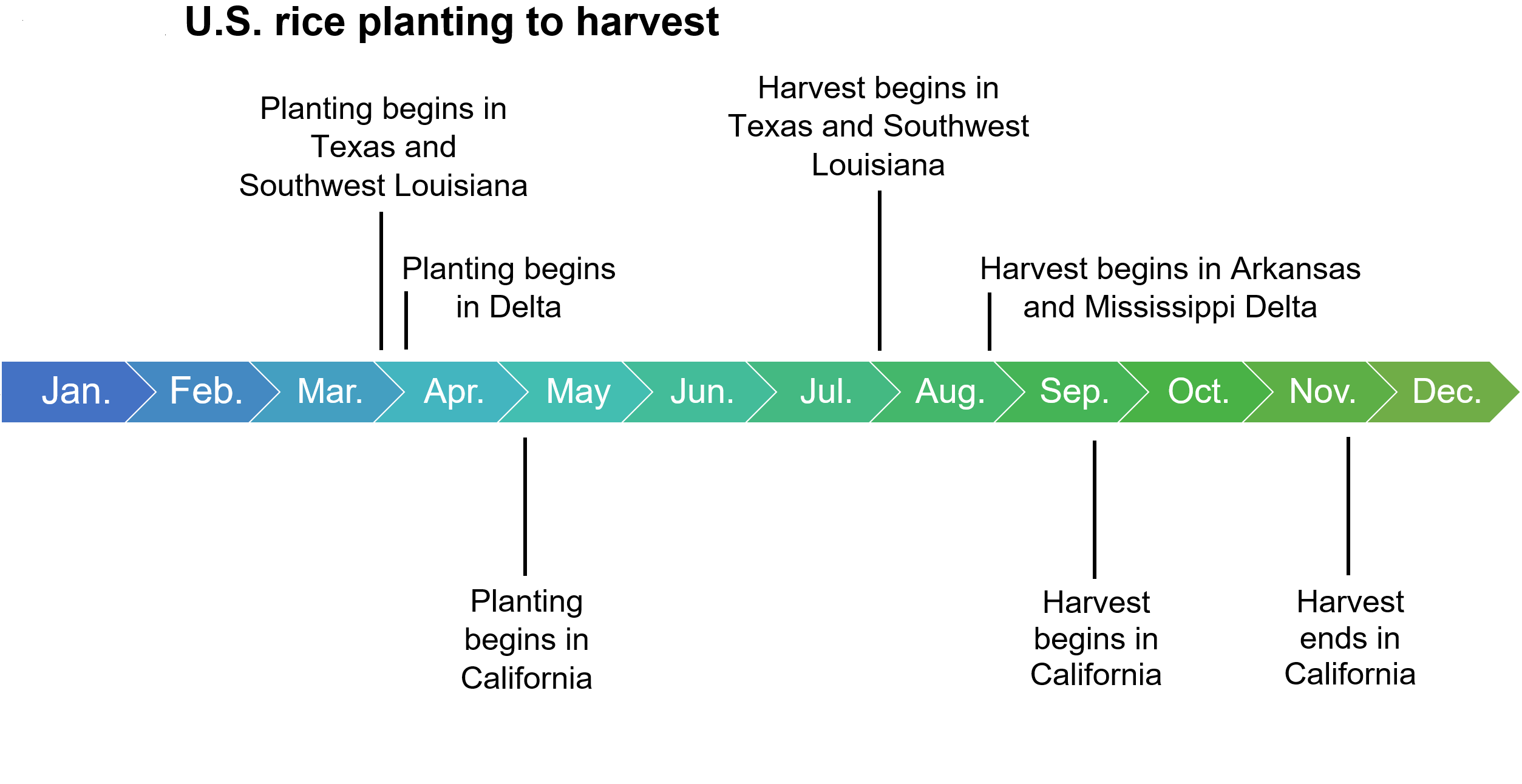 U.S. rice planting to harvest