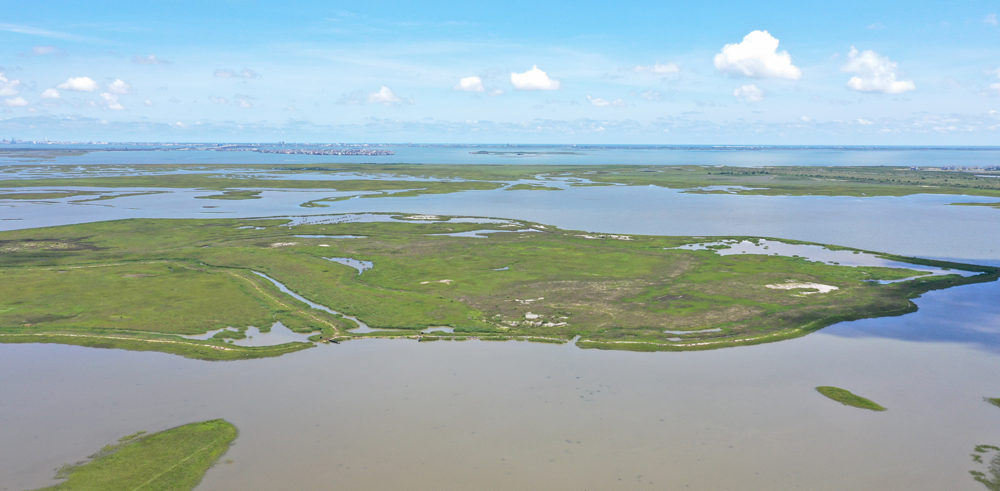 Pierce Marsh after restoration. (Photo by USACE Galveston District)