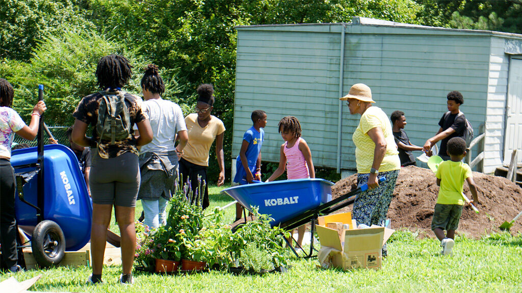 People work in a garden