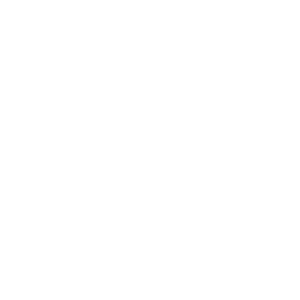 twitter logo