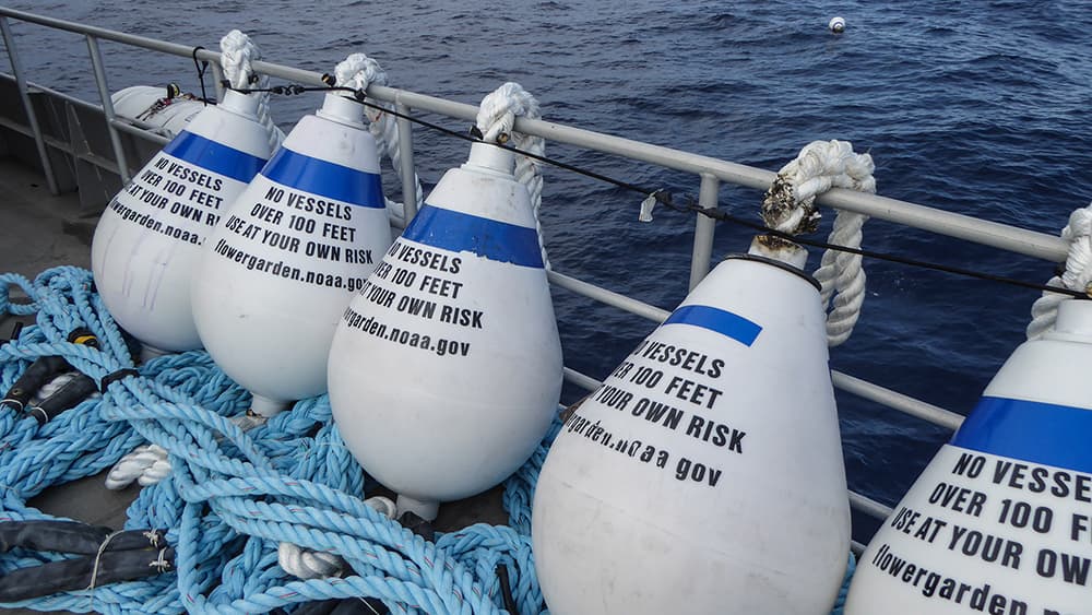 Five mooring buoys and their lines secured against a boat railing