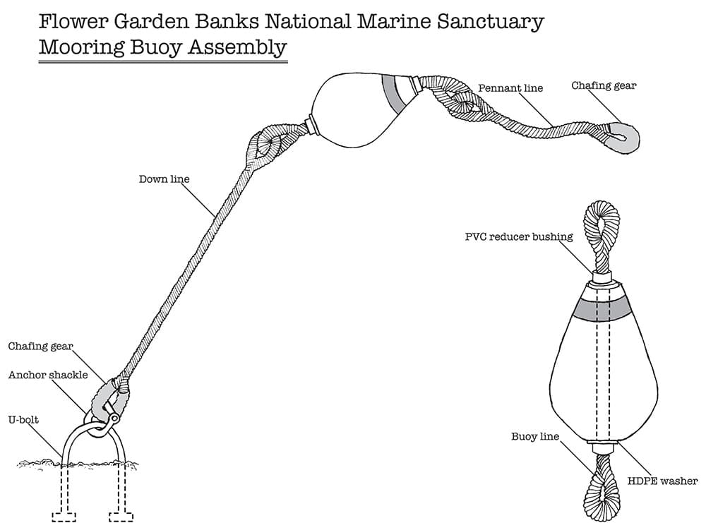 Diagram of a typical mooring buoy assembly