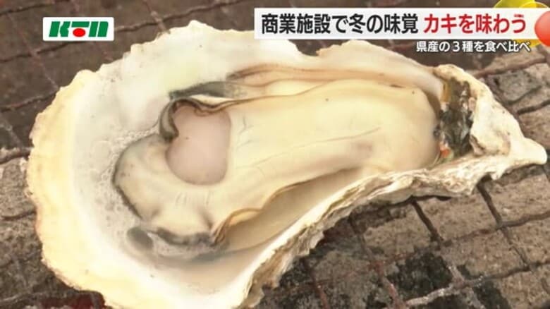 ココウォーク屋上で「かき食うまるしぇ」　地元特産の3種類のカキを食べ比べ【長崎市】｜FNNプライムオンライン