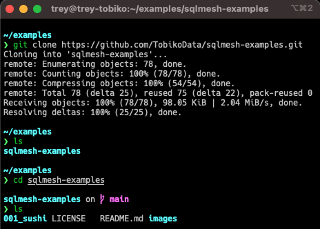 Clone repo in CLI