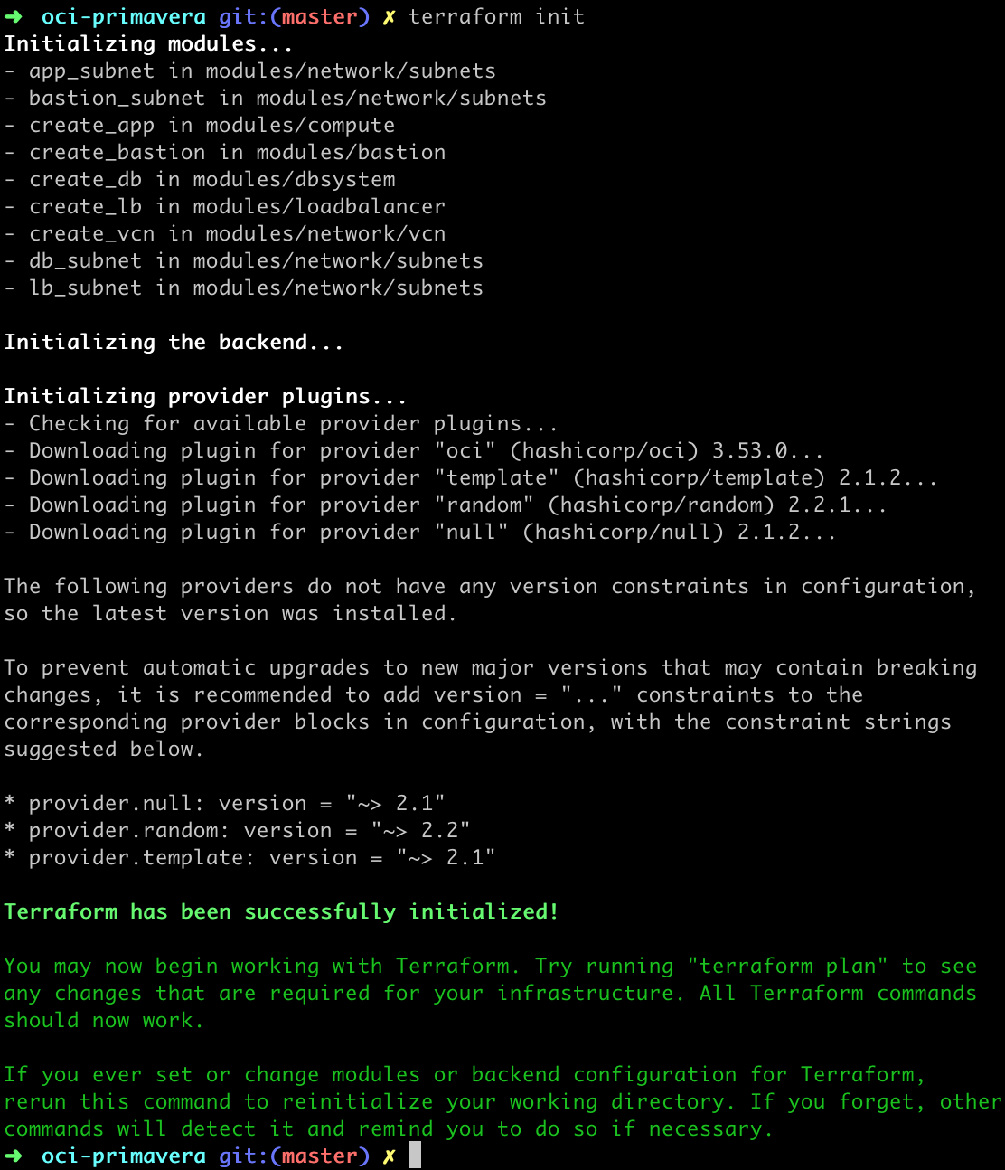 terraform init