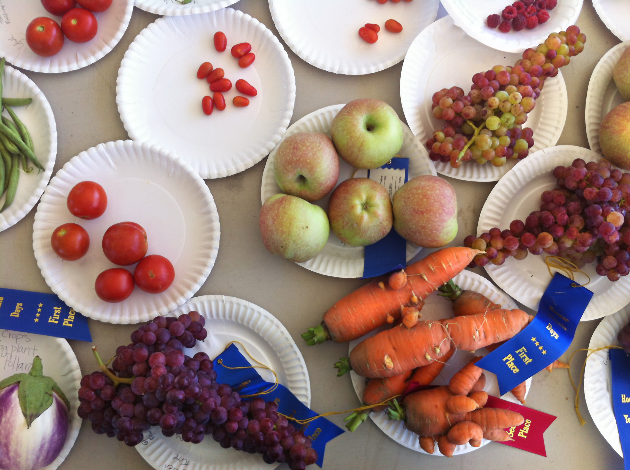 fruit and vegetable exhibit